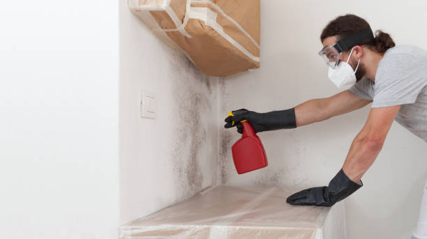Professional Bathroom Mold Removal technician working in Medina, NY
